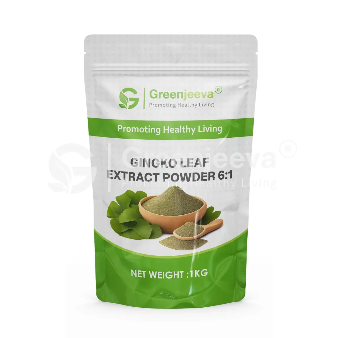 Gingko leaf Extract Powder 6 1 Pouch Gingko leaf Extract Powder 6 1 Pouch